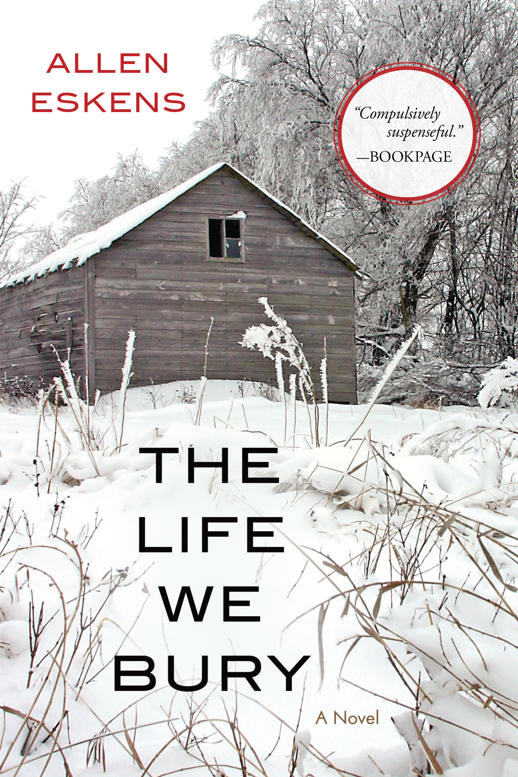 The Life We Bury book cover