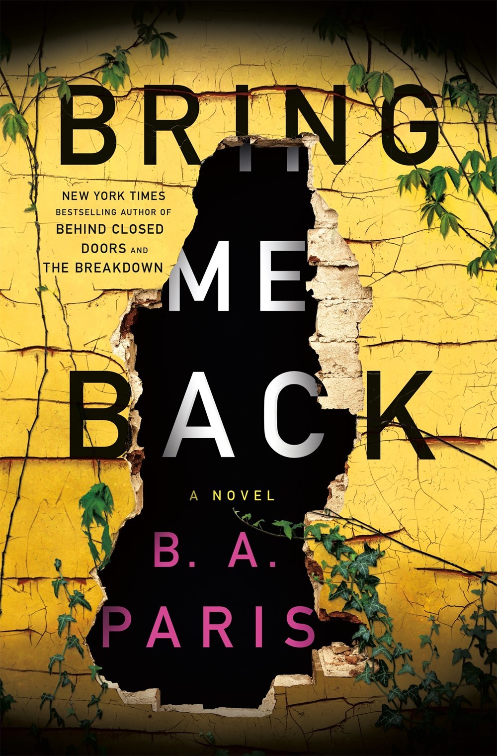 Bring Me Back book cover