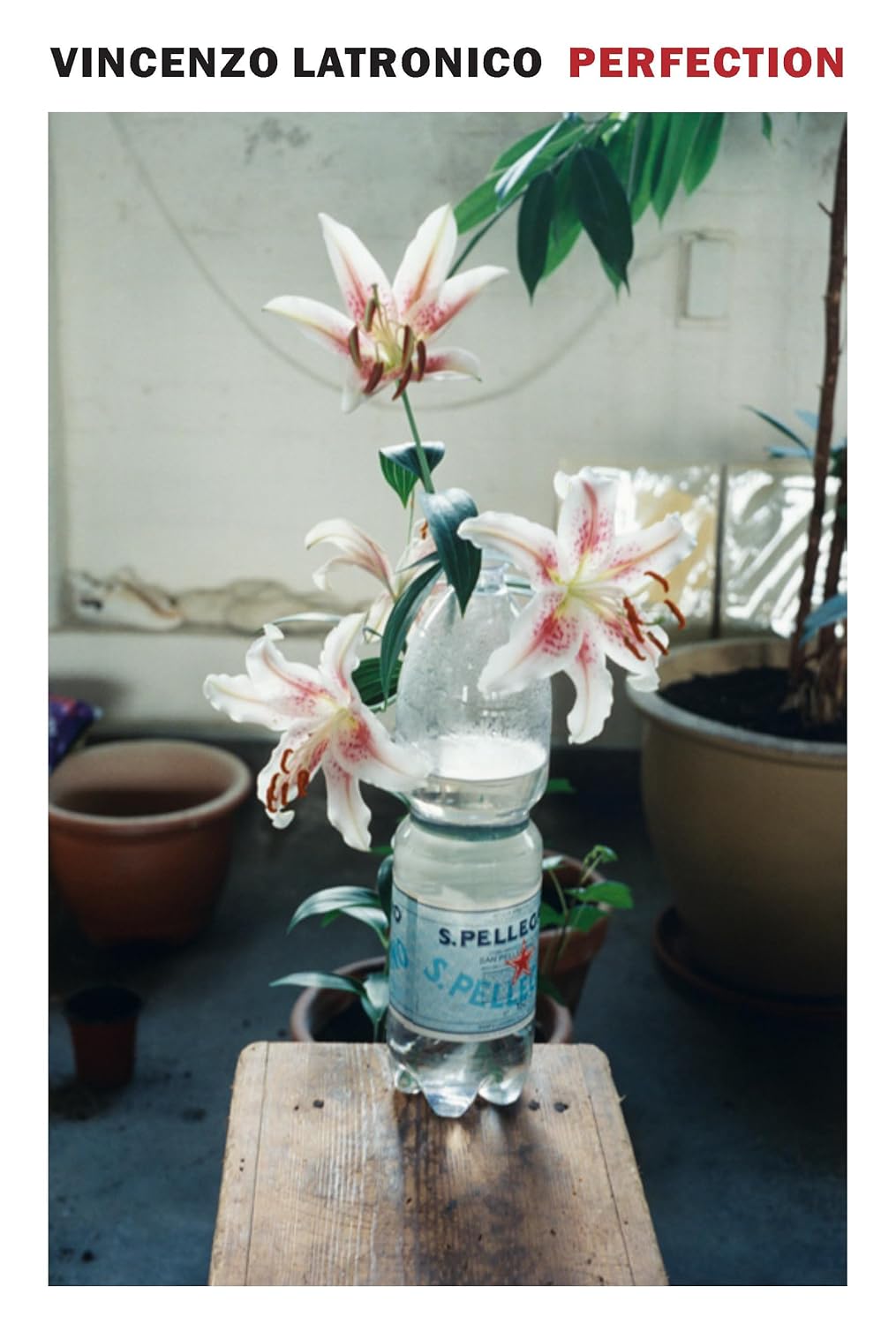 Perfection book cover